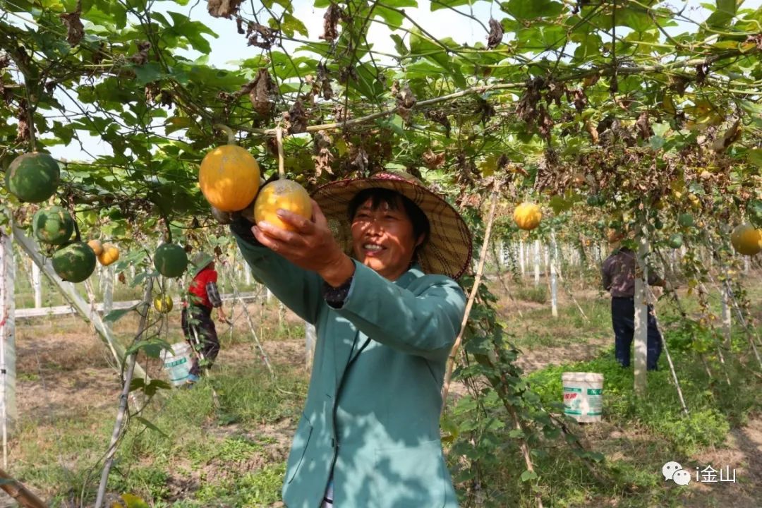 抵押车辆贷款上海(车辆抵押贷款上海)？ (https://www.tyhrongzi.com/) 知识问答 第1张